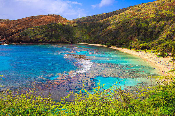 Hanauma Bay in Hawaii by Ami Parikh Hanauma Bay in Hawaii by Ami Parikh