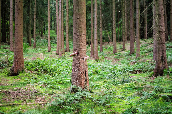 Wall Art - Photograph - Hands Hugging A Tree In A Forest by Jason Langley