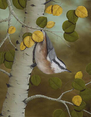 Wall Art - Painting - Hanging Around-Red Breasted Nuthatch by Rick Bainbridge