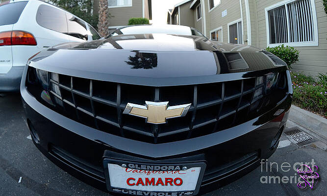 Happy Camero by Clayton Bruster Happy Camero by Clayton Bruster