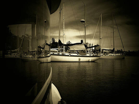 Wall Art - Photograph - Harbour Life by Micki Findlay