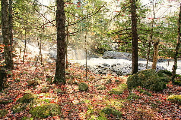 Harper Falls on the Grass River in the Adirondacks by Dave Spier
