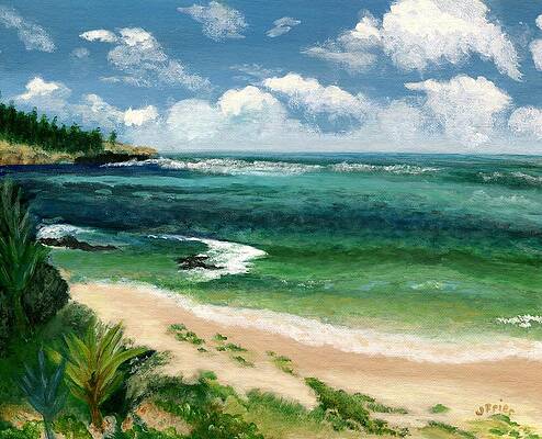 https://render.fineartamerica.com/images/images-profile-flow/400/images-medium-large-5/hawaii-beach-jamie-frier.jpg