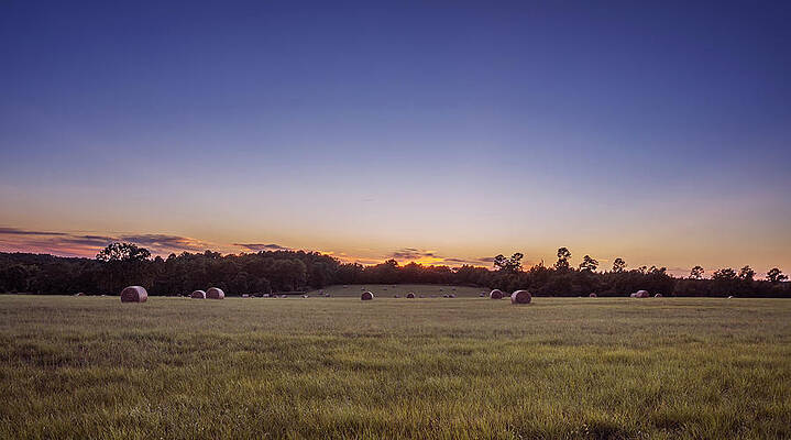 Wall Art - Photograph - Hay Bales In A Field At Sunset by Todd Aaron