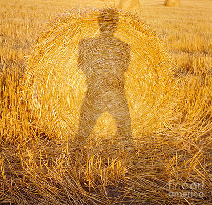 Hay Shadow by Thomas Carroll Hay Shadow by Thomas Carroll