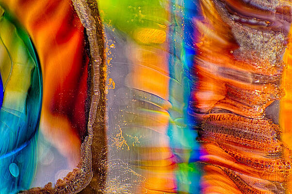 Wall Art - Photograph - Head Honchos by Omaste Witkowski