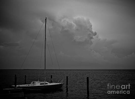 Wall Art - Photograph - Head in the Clouds in black and white by Mark Miller