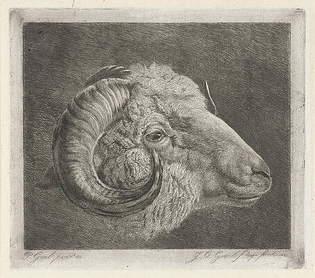 Wall Art - Drawing - Head Of A Ram To The Eye Curved Horn, Print Maker Jacobus by Jacobus Cornelis Gaal And Pieter Gaal