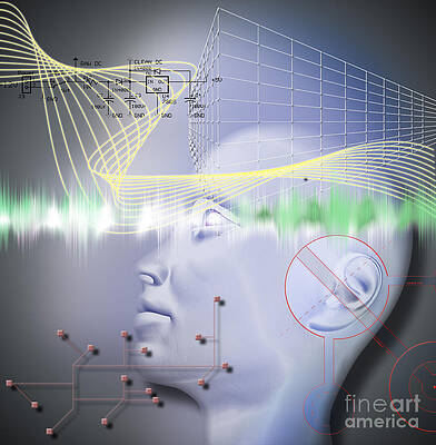 Wall Art - Photograph - Head With Symbols by Mike Agliolo