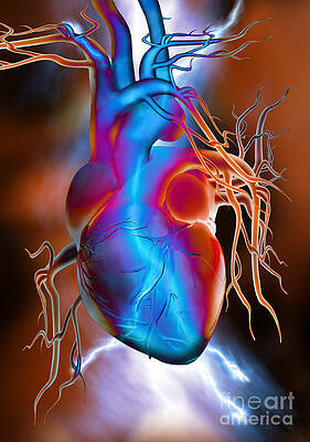 Wall Art - Photograph - Heart Attack by Mike Agliolo