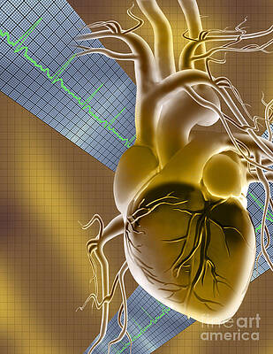Wall Art - Photograph - Heart Graph by Mike Agliolo