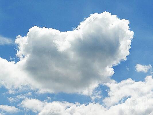 Wall Art - Pyrography - Heart in the clouds by Karin Ravasio