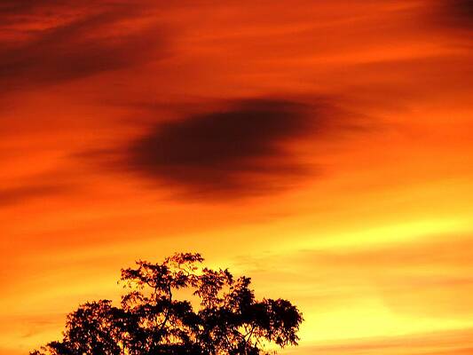 Heart in the Sky by Julia Ivanovna Willhite Heart in the Sky by Julia Ivanovna Willhite