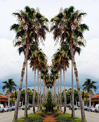 Wall Art - Photograph - Heart Of Palms by Barbara Chichester