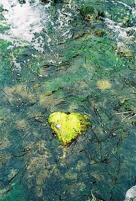 Heart of The Stream by David Kidwell  II