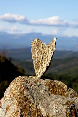 Heart on a Journey by Lainie Wrightson Heart on a Journey by Lainie Wrightson