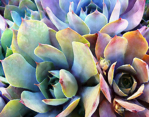Wall Art - Painting - Hens and Chicks series - Soft Tints by Moon Stumpp