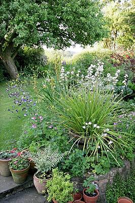 Wall Art - Photograph - Herbaceous Border In June by Science Photo Library