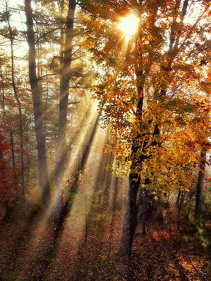 Here Comes the Sun by Paul Cutright Here Comes the Sun by Paul Cutright