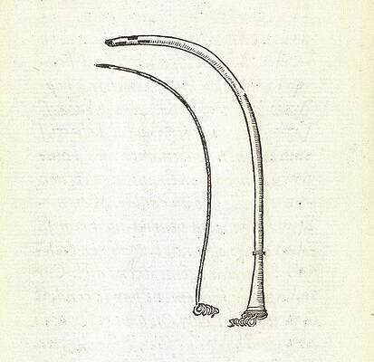 Wall Art - Photograph - Hernia Surgery Instruments by Science Photo Library