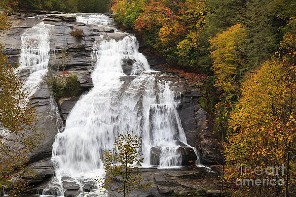 Wall Art - Photograph - High Falls in the Dupont State Forest by Jill Lang