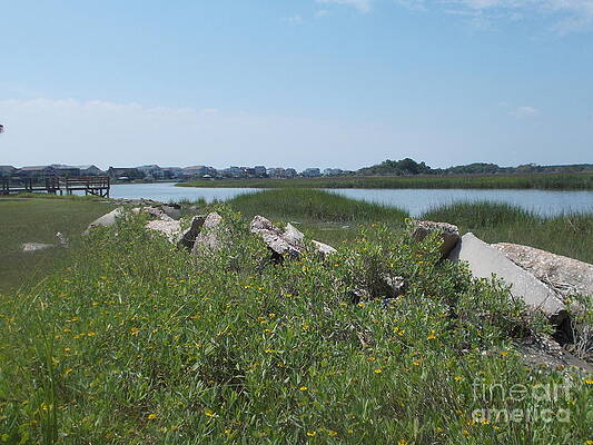 High tide in the marsh by Valerie Shaffer High tide in the marsh by Valerie Shaffer
