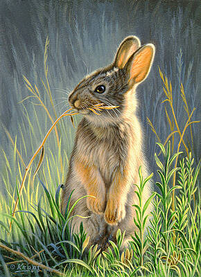 Rabbit Art for Sale - Fine Art America