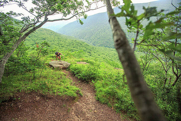 Wall Art - Photograph - Hiking In The Catskill Mountains, New by Matt Andrew