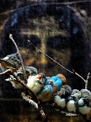 His Eye Is On The Sparrow by Seth Weaver His Eye Is On The Sparrow by Seth Weaver