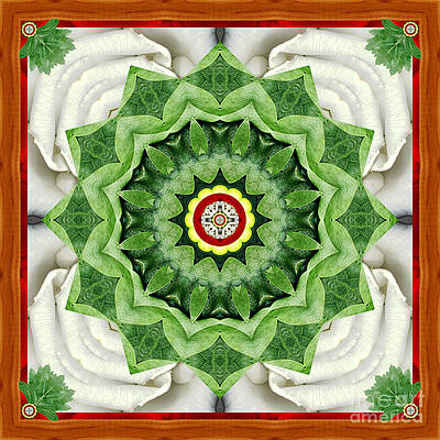 Holy Days by Bell And Todd Holy Days by Bell And Todd