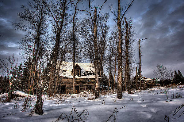 Wall Art - Photograph - Homestead by Jakub Sisak