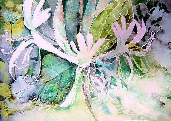 Honeysuckle by Mindy Newman Honeysuckle by Mindy Newman