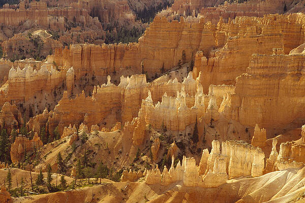 Wall Art - Photograph - Hoodoos Bryce Canyon Utah by Gerry Ellis
