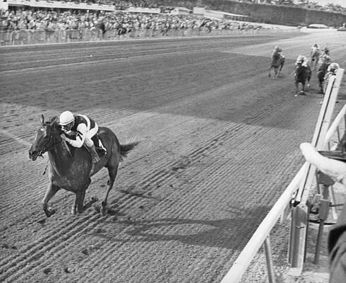 Wall Art - Photograph - Secretariat #1 by Retro Images Archive