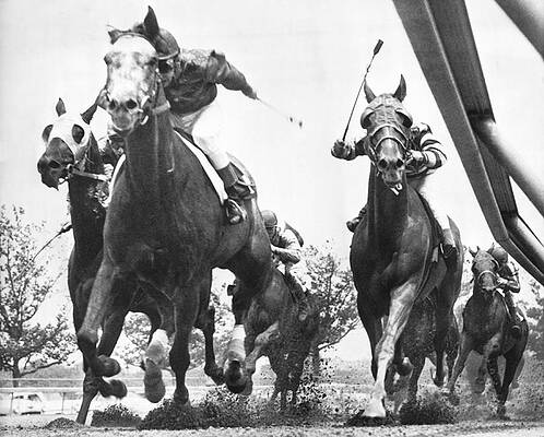 Aqueducts Art for Sale - Fine Art America