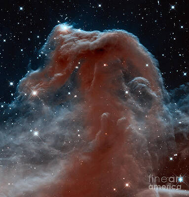 Wall Art - Photograph - Horsehead Nebula by Science Source