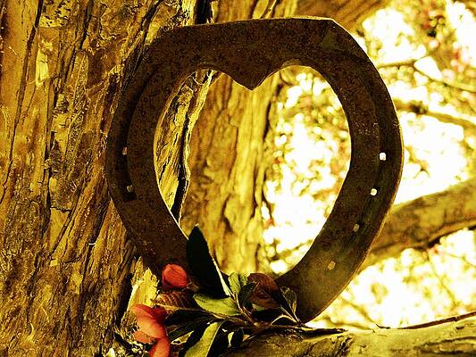 Horseshoe Love by Michelle Frizzell-Thompson