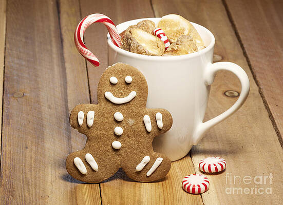 Wall Art - Photograph - Hot Chocolate Toasted Marshmallows and a Gingerbread Cookie by Juli Scalzi