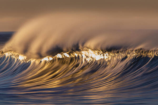 Hot Reflection 73A0486 by David Orias Hot Reflection 73A0486 by David Orias