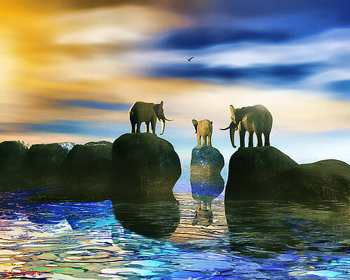 How Did He Get There Fred by Tyler Robbins How Did He Get There Fred by Tyler Robbins