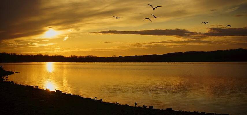 Wall Art - Photograph - How Many Birds Can You Count? by Photographic Arts And Design Studio