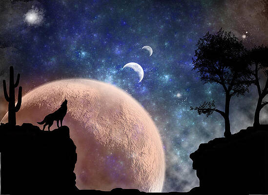 Wall Art - Photograph - Howling at the Moon by Regina Williams