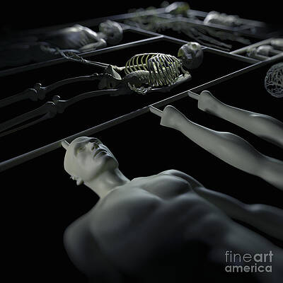 Wall Art - Photograph - Human Cloning by Science Picture Co