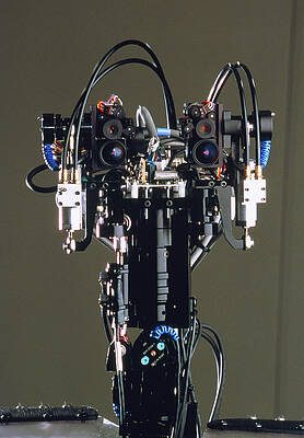Wall Art - Photograph - Humanoid Robot by Science Photo Library