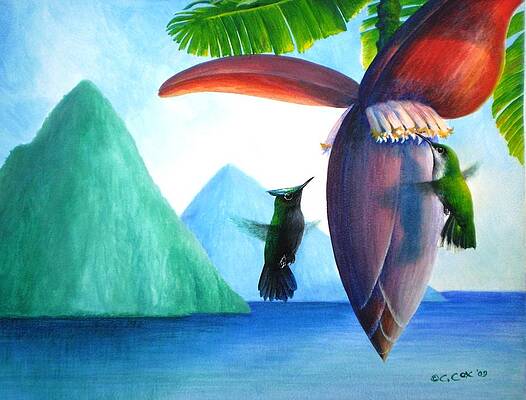 Hummingbirds and bananas by Christopher Cox Hummingbirds and bananas by Christopher Cox