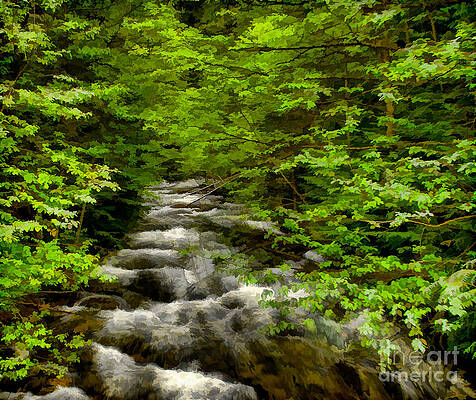 Hunt Creek at Priest Lake by Sam Rosen Hunt Creek at Priest Lake by Sam Rosen