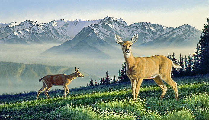 Deer at Sunset - Palika Art - Paintings & Prints, Animals, Birds, & Fish,  Deer - ArtPal