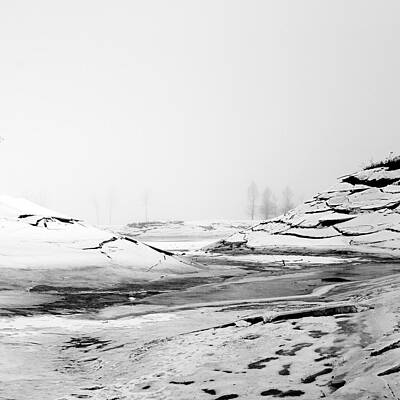 Ice and Fog 5 by D Scott Clark Ice and Fog 5 by D Scott Clark
