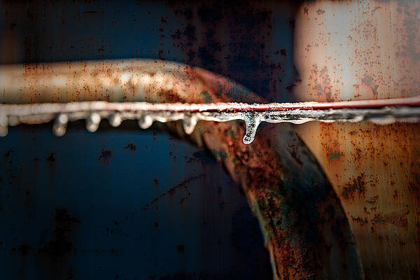 Wall Art - Photograph - Ice and Rust by Brett Engle