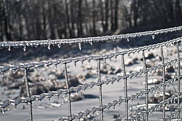 Ice Fence by Douglas Pike Ice Fence by Douglas Pike